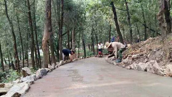 Forest Area Liquefied Soil Stabilizer Enzyme Road Hard Soil Stabilizer